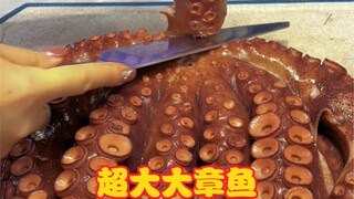 Super large octopus