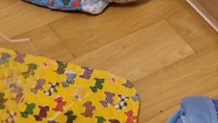 211007 Thành viên đẩy “Choi Sangshen, thật khó xử”