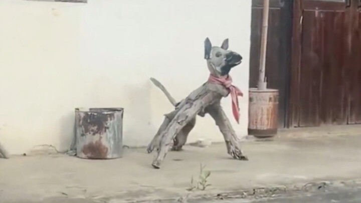 “This shape doesn’t really look like a dog”