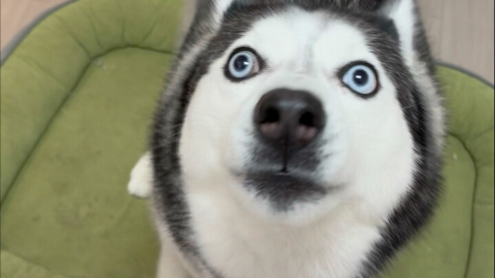 Now you know which one to raise, right?