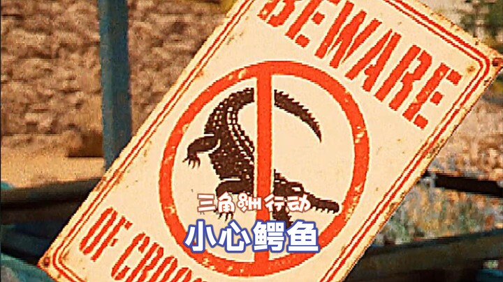 【Chiến dịch Delta】 Cẩn thận cá sấu