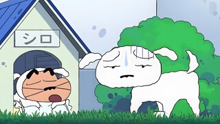 สลับตัวตนกับเซียวไป๋~ ใครจะอดใจไหวกับตอนหนึ่งของ Crayon Shin-chan ล่ะ