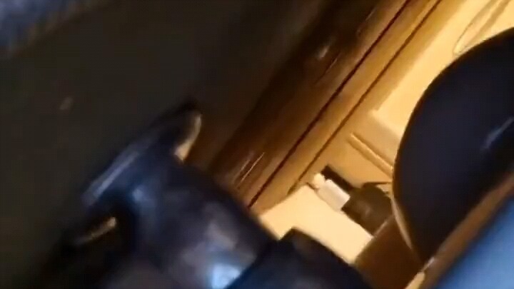 What terrifying thing is behind the toilet?