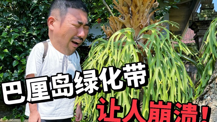 Rehabilitating the green belt! Falling in love with green belts is my destiny—I get it~!
