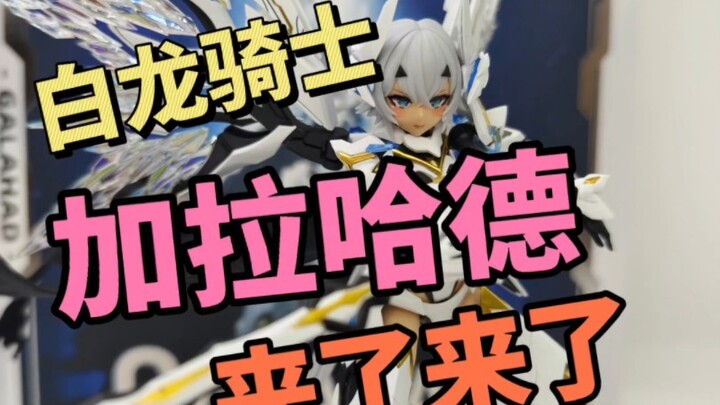 白龙骑士加拉哈德 修复版测评件 她来了