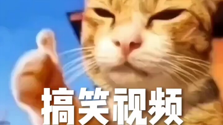 笑死人不偿命