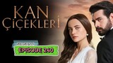 Kan Cicekleri s2. ep240 ENG sub