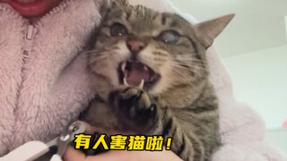 While the kitten was giving me a massage, I took the opportunity to clip its nails. The kitten got s