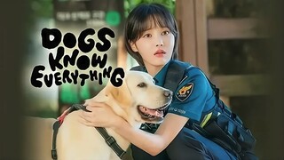 Dog Knows Everything Eps 5 Sub Indo