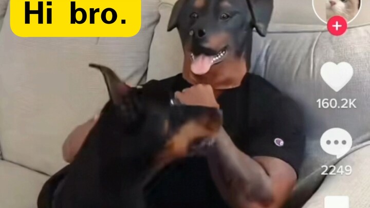 TikTok: Foreign netizens cosplay animals, and the family dog unexpectedly turns against them.