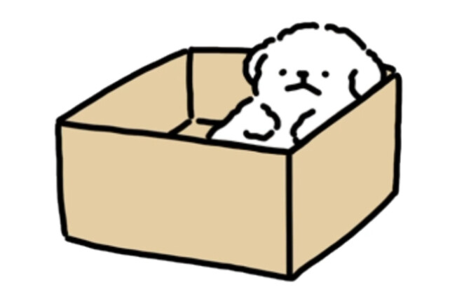 Can you really sleep without my cozy bed?