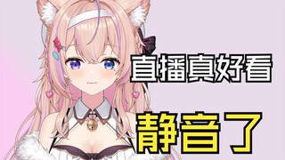 主播我可以静音看你直播吗？