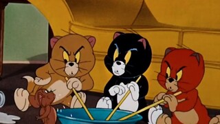 สถานการณ์ปัจจุบันของสาขาวิชาเอกมหาวิทยาลัยหลังปรากฏการณ์จางเสวี่ยเฟิง (ห้าวีรบุรุษแห่งพายุ)