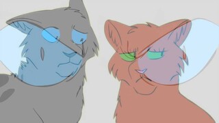 forget it - ashfur amv