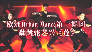 【张艺兴】《莲》海外实火！欧洲Urban Dance第一舞团重新编舞翻跳张艺兴《莲》