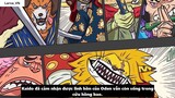 Sức Mạnh Thật Sự Của Kaido Luffy vs Bigmom Tộc Mink Hóa Sulong I One Piece Chương 987_ 9