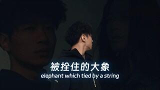 لا تنسى أنك لم تعد فيلًا صغيرًا