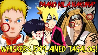 SAAN GALING ANG MGA WHISKERS? AT BAKIT SILA MAY GANITO?🤔 | NARUTO | BORUTO  TAGALOG ANALYSIS