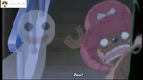 Team Luffy hù ma dọa Usopp và Chopper [AMV] #anime #onepiece #daohaitac