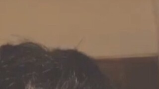 How did Higashikata Josuke get his steak haircut? [Kylethomas]