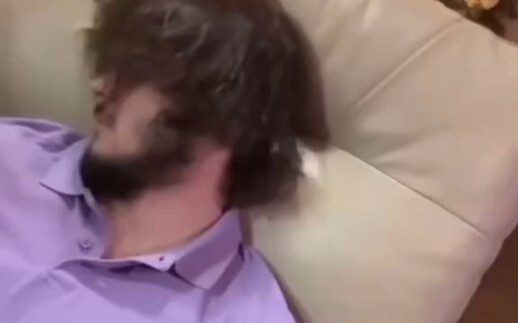 混进去一个真的就完了