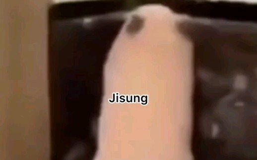 【NCT】Kalau para membernya jadi hewan, kemungkinan wajah mereka bakal kayak gini?