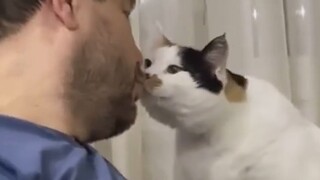 “Mungkin itu sebabnya orang menyukai kucing!”