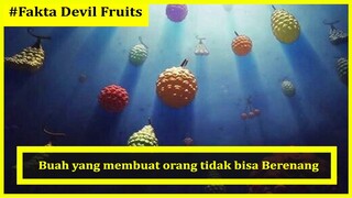 Bahas Lengkap Type Buah Iblis di One Piece | 2020