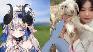 Sister, I want to be your sheep!