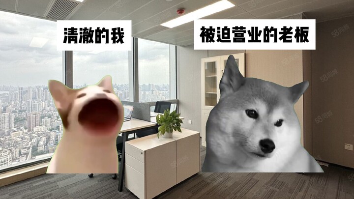 【猫meme】关于我的德国老板看上小破站的这件事