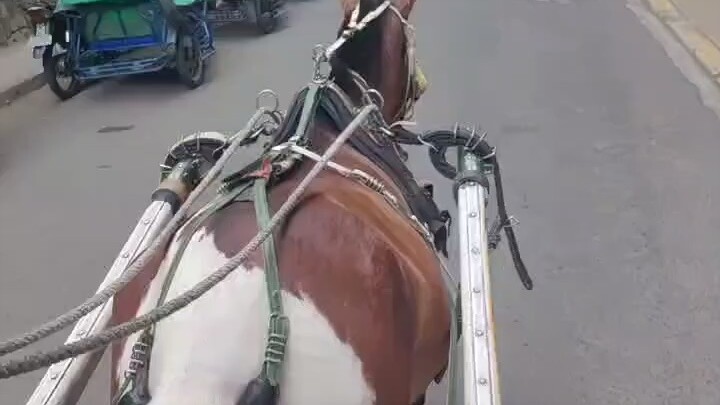 人 生有时候真的好累晚上睡觉 就不用吃好好睡觉一天又过了过 这过 这等小孩长大成人 一生也就这样结束
