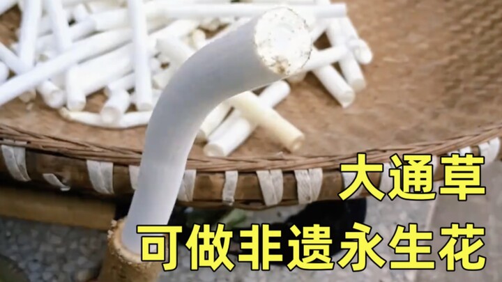 Da Tong Cao juga bisa digunakan untuk membuat bunga awetan warisan budaya takbenda.