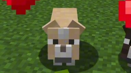 Điều gì sẽ xảy ra nếu Minecraft thêm tính năng nhân giống chó?