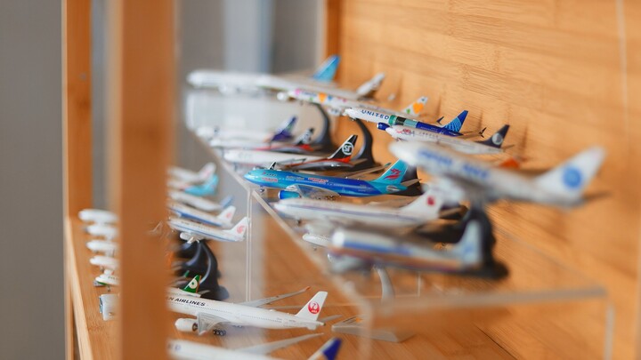 【Arms Display】It is impossible for flying friends to have books in their bookcases.