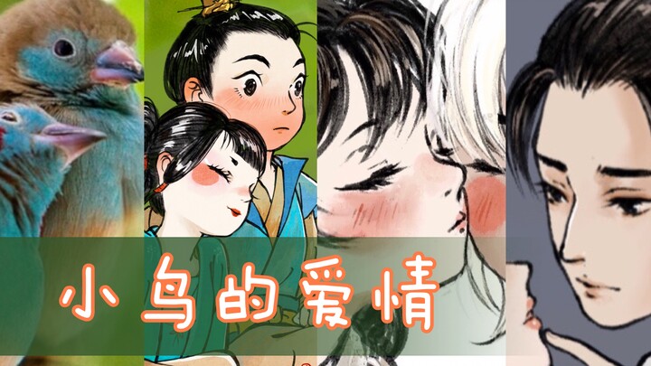 [Little Bird Personification: A Little Bird’s Love Story] Valentine’s Day Special / Wishing Everyone