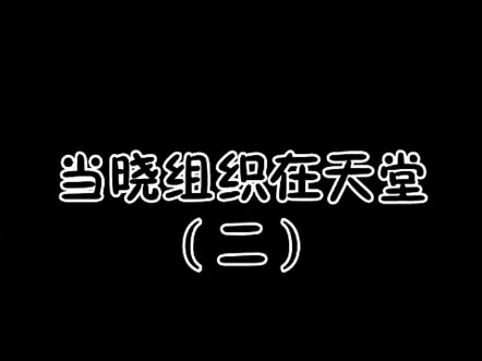 当晓组织来到天堂