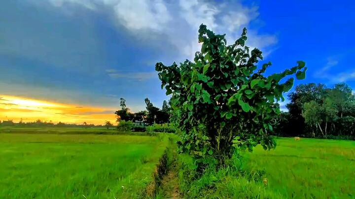 awesome view