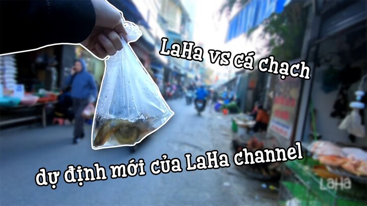LaHa vs cá chạch | LaHa channel