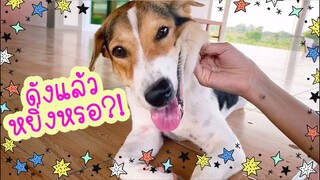 โลกของแสนดี ตอน ขอจับหน่อยก็ไม่ได้..