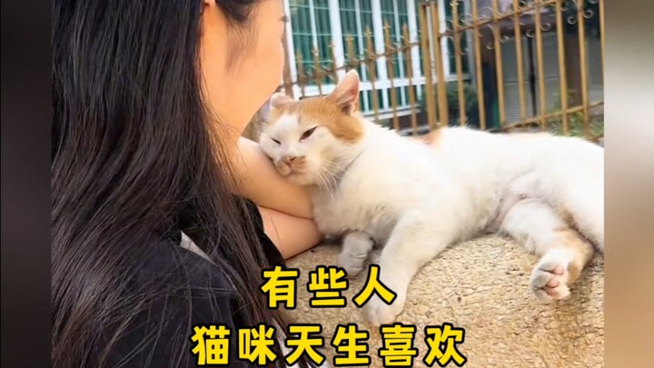 “Some People Are Naturally Loved by Cats”