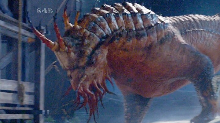 这部电影里拥有着各种稀奇古怪的生物，简直是怪物迷们的福音