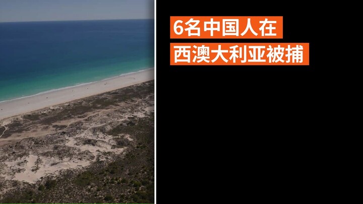 6名中国人在西澳大利亚被捕