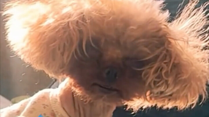 I have to wake the dog up early because I’m leaving early.