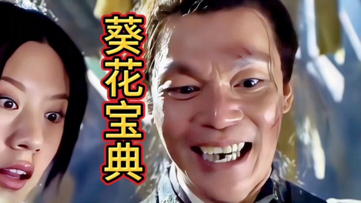 从此以后,葵花宝典少了一页！