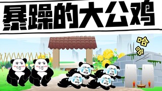 护犊的二哥vs大公鸡
