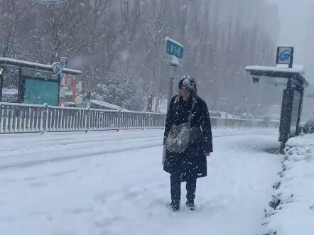 A sudden heavy snowfall caught a woman on her way home from work—when she finally arrived, it felt l