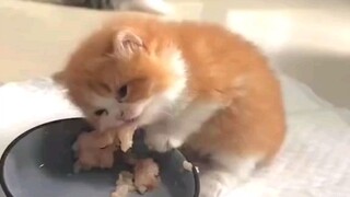 so cute 😍
