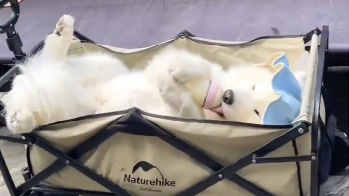 Yeye is the smiling angel