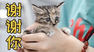 【Animal Aid】Menyelamatkan hewan tidak mudah, bertahan bahkan lebih sulit, Animal Aid tidak akan pern