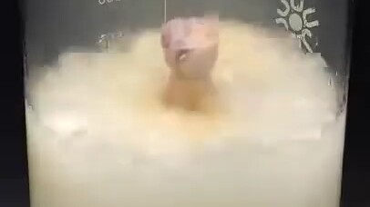Horror Experiment: The Legendary Effect of Dissolving-Oil Liquid—Not a Single Bit Left Behind